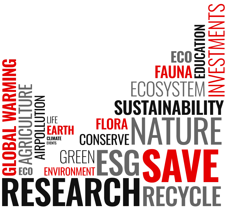 Massive Earth Foundation focus areas