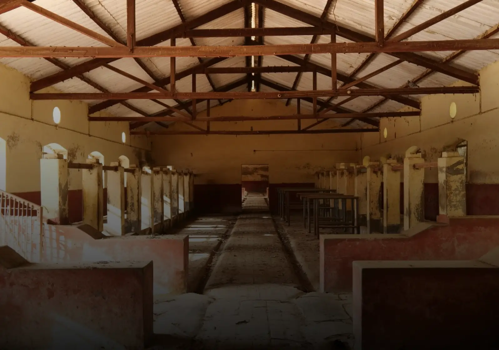Design Cow Shelter