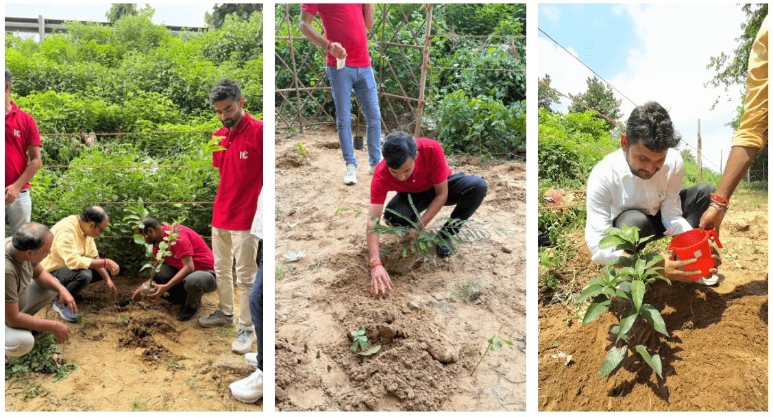 Community members at a plantation drive